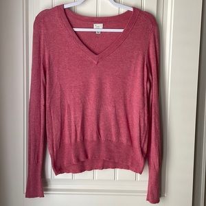 Red v-neck sweater